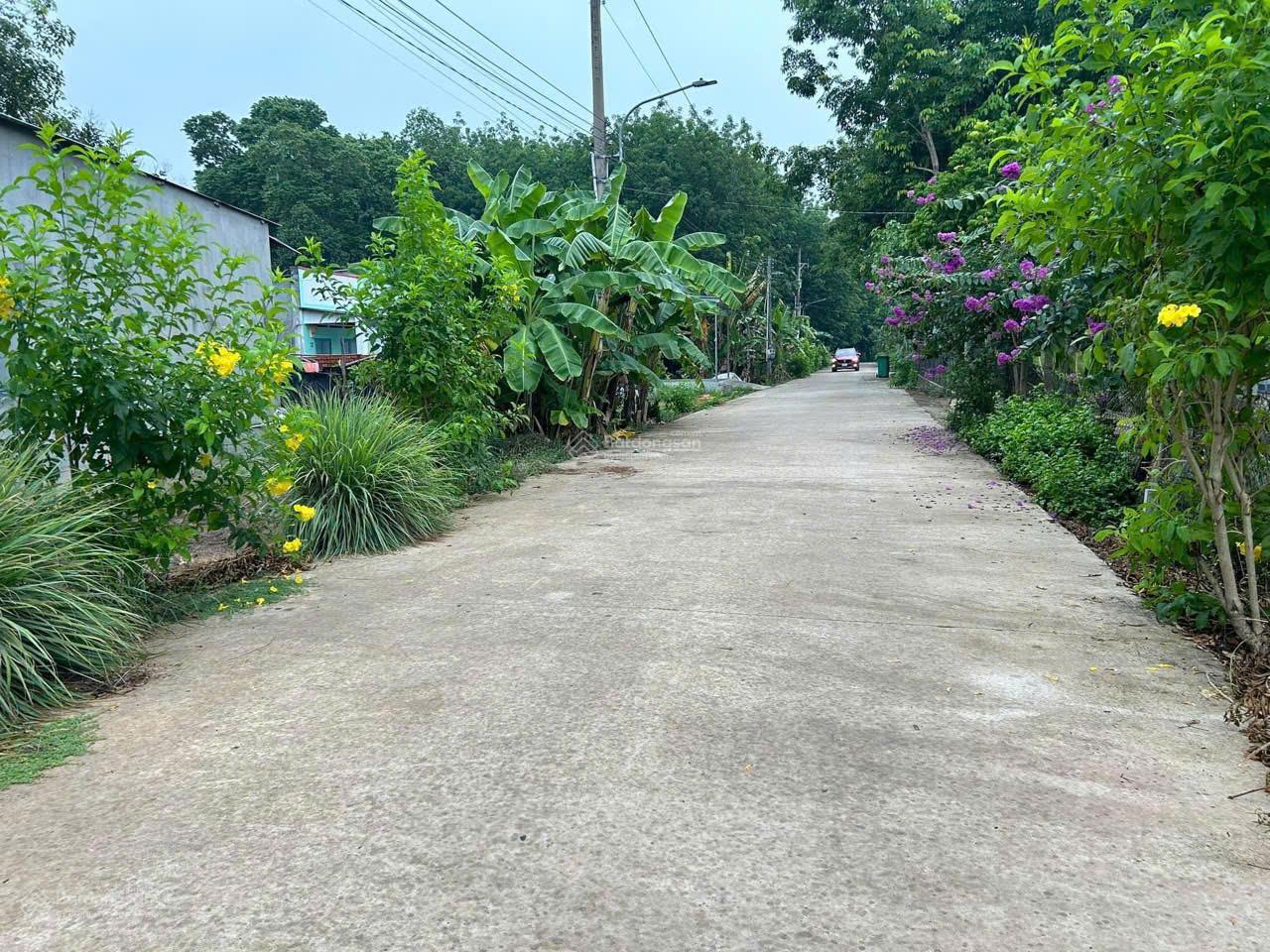 Bán đất 145.7m2 tại Tân Hiệp, 650 triệu, Phú Giáo, Bình Dương giá thấp nhất khu vực này 0981 338 ***