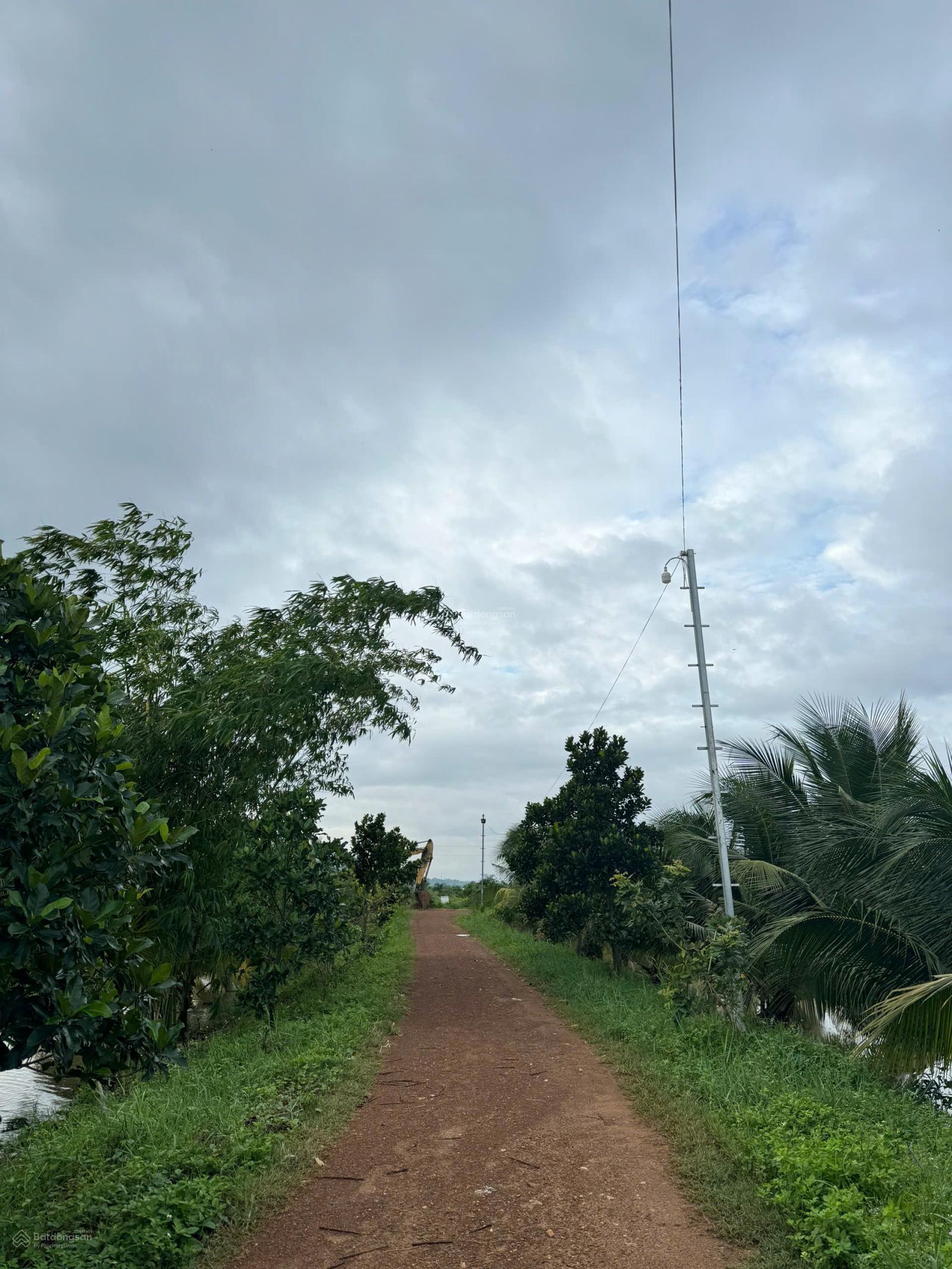 GĐ cần bán 13 hecta trang trại tâm huyết một đời chủ tại Hàm Thuận Nam, Bình Thuận. 2xxtr/sào GĐ cần bán 13 hecta trang trại tâm huyết một đời chủ tại Hàm Thuận Nam, Bình Thuận. 2xxtr/sào