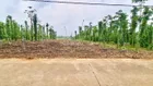 Bán đất 2327m2, mặt tiền đường 1 sẹc đường Tỉnh Lộ 764, Xuân Tây, Cẩm Mỹ, Đồng Nai. Chỉ 990 triệu