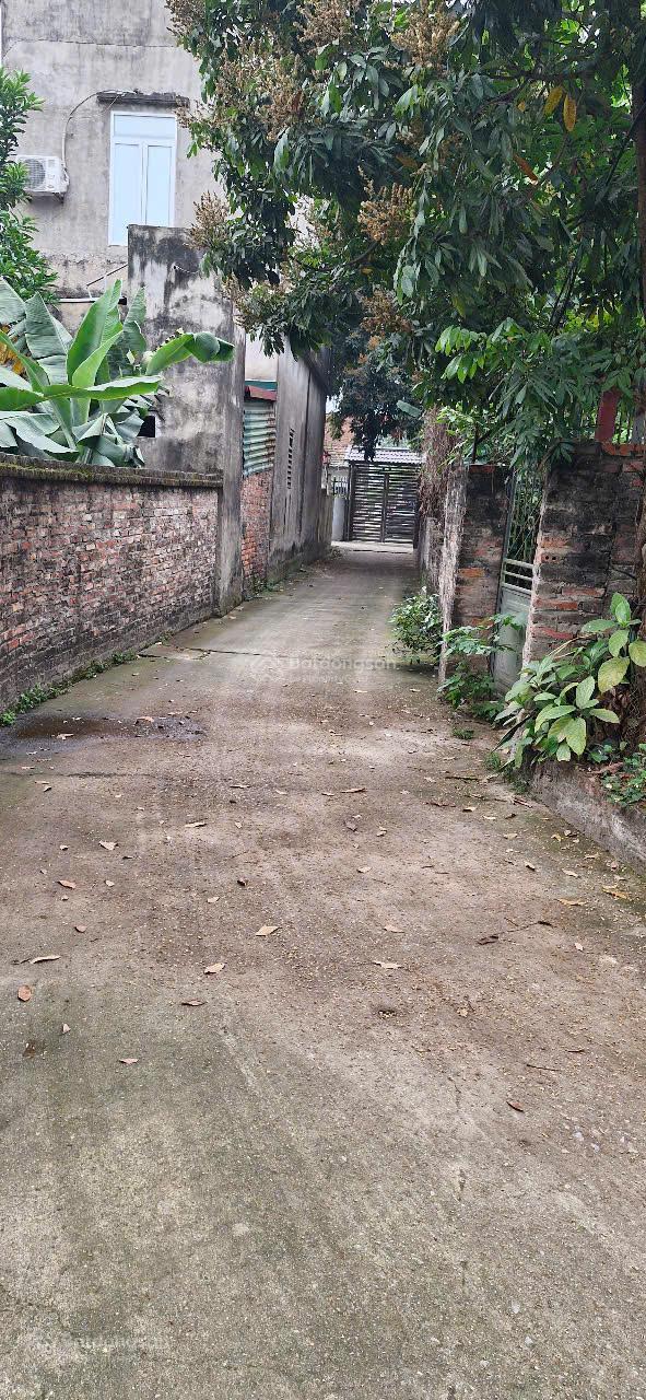 Hiếm! Lô 980m2 full thổ cư Thanh Oai, sổ đỏ, đường thông rộng, giá chỉ 26 triệu/m2