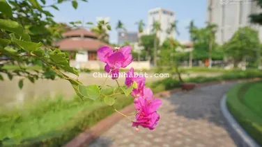 Bán đất tại Yên Bài, Ba Vì, Hà Nội, 31 triệu/m2, 80.5m2, giá ưu đãi