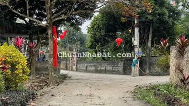 493m2/400m2 Lâm Sơn - Lương Sơn sẵn nhà cấp 4 ở luôn giá chính chủ cần bán