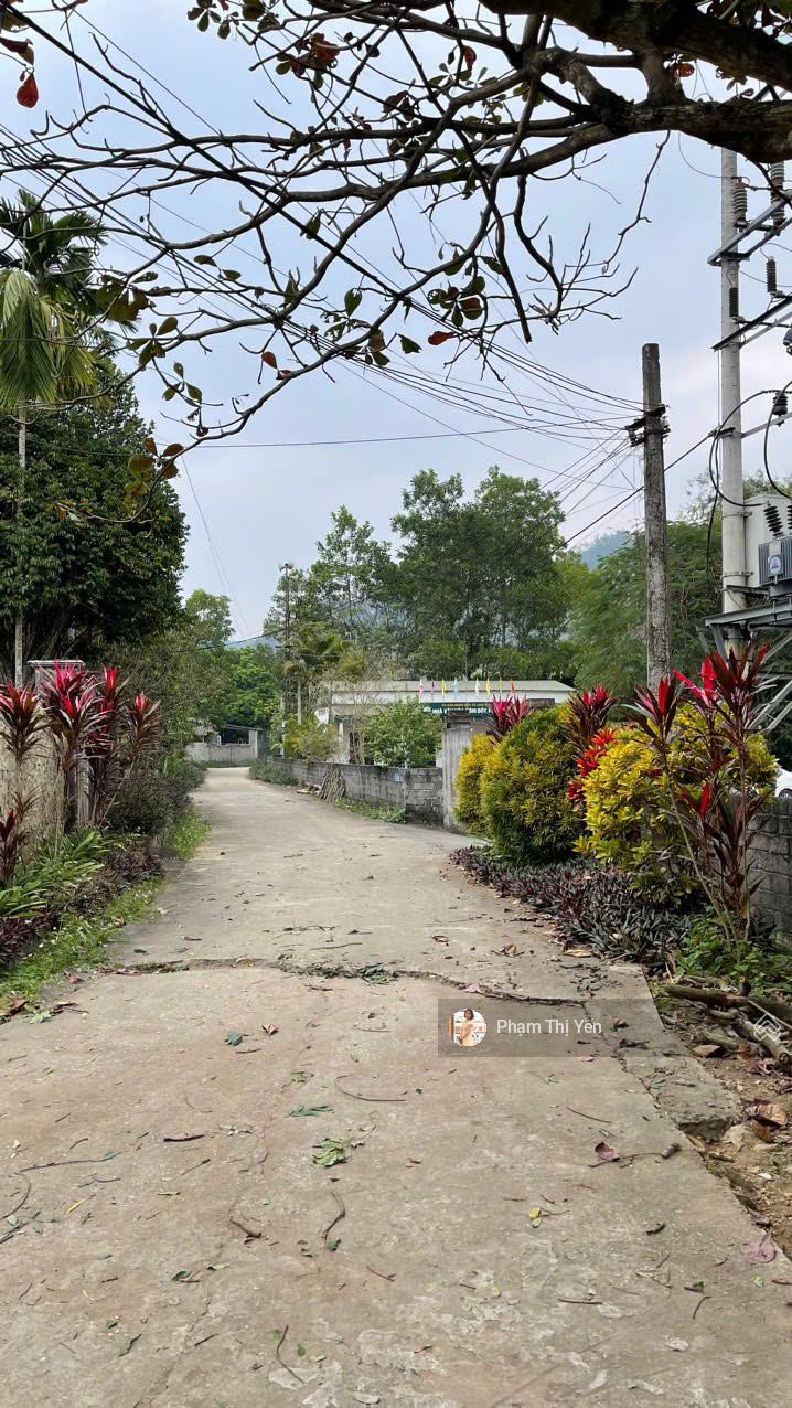 493m2/400m2 Lâm Sơn - Lương Sơn sẵn nhà cấp 4 ở luôn giá chính chủ cần bán
