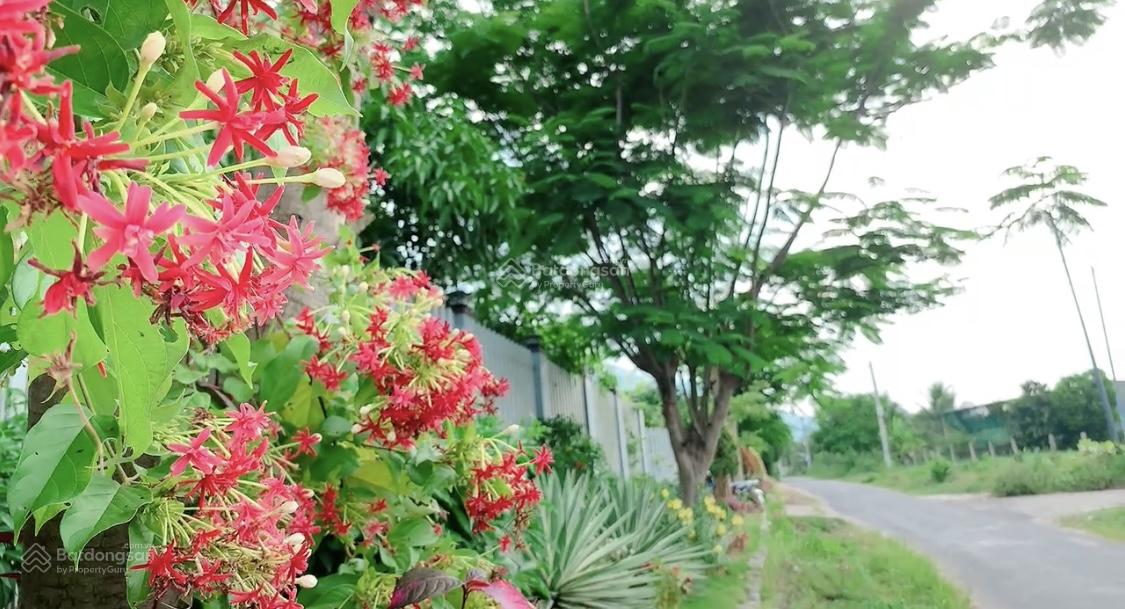 Bán 2 lô đất Suối Tiên siêu đẹp 270m²/lô full thổ cư Mặt tiền đường nhựa lớn thông ra HL 39