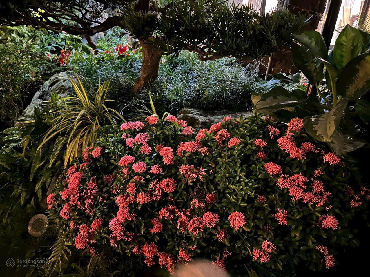 Bán BT Hoa Lan 1 Đối diện Almaz, gần công viên. 252m2. Mặt tiền 11m, trung tâm chính KDT Riverside