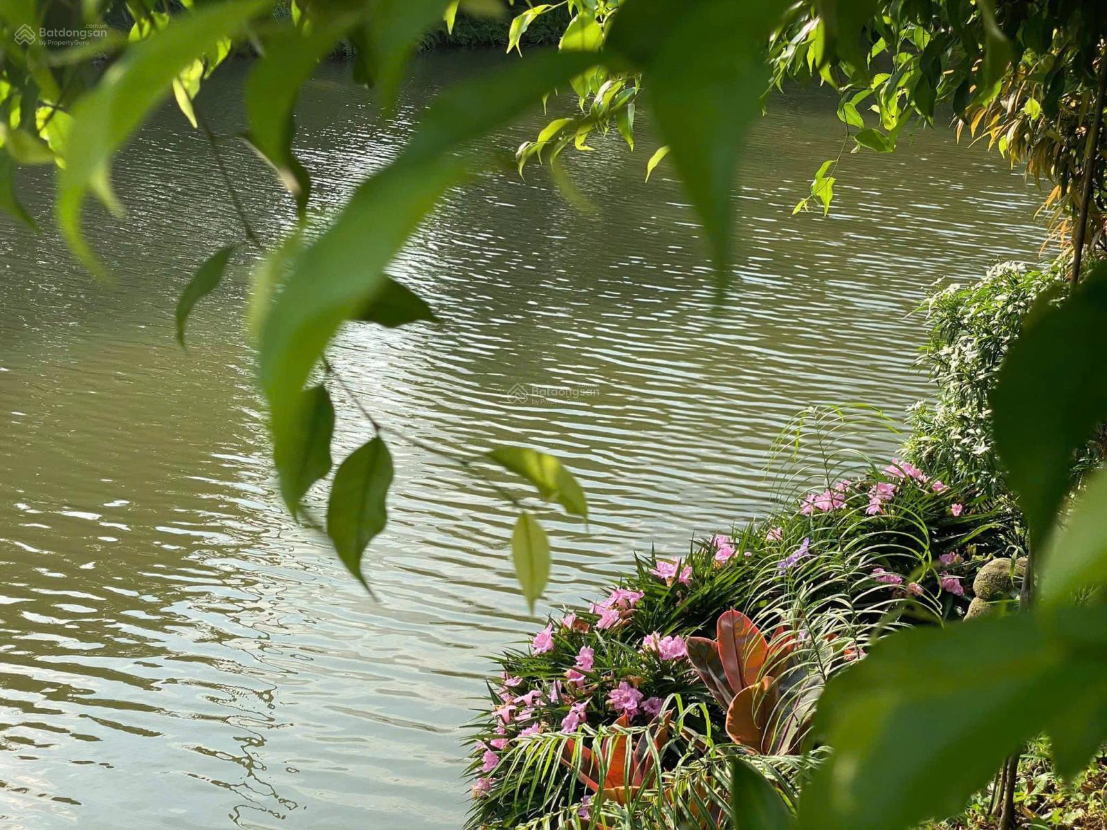 Bán BT Hoa Lan 1 Đối diện Almaz, gần công viên. 252m2. Mặt tiền 11m, trung tâm chính KDT Riverside