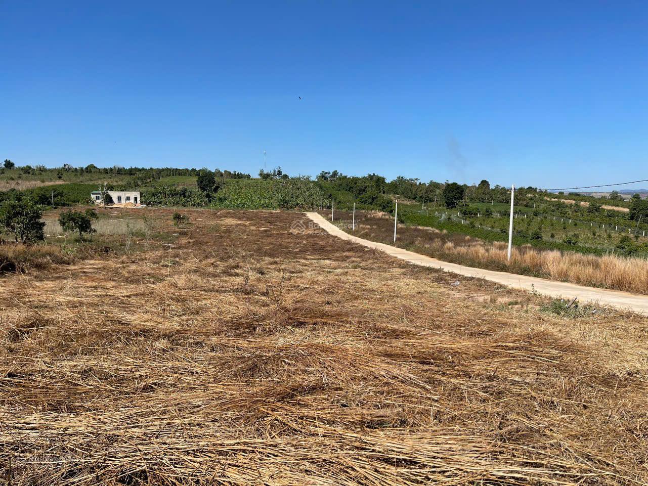 Bán đất tại Đông Thanh, Lâm Hà, Lâm Đồng, 699 triệu, 126 m2 chỉ với giá ưu đãi Bán đất tại Đông Thanh, Lâm Hà, Lâm Đồng, 699 triệu, 126 m2 chỉ với giá ưu đãi