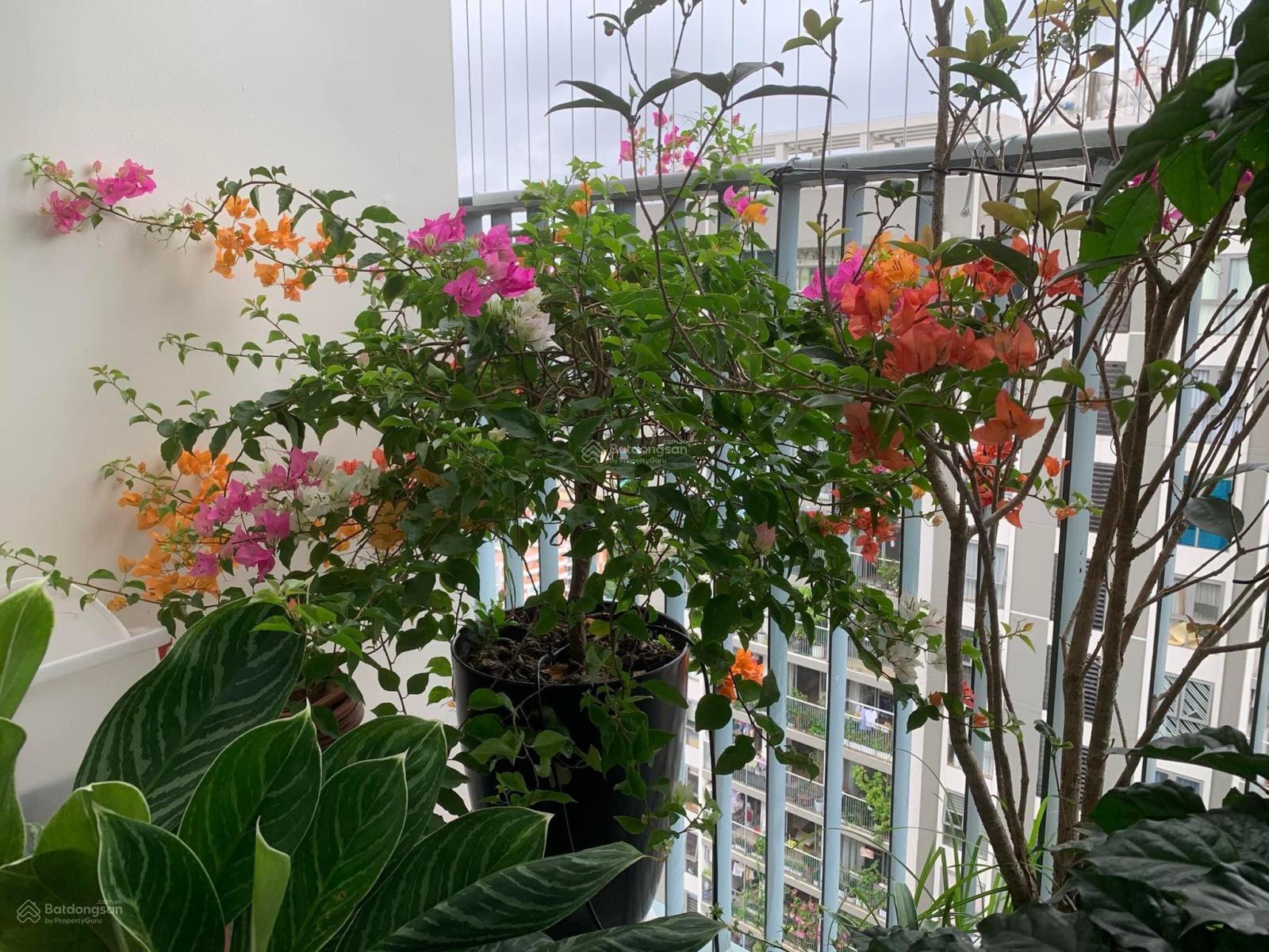 Chính chủ cần bán căn Thống Nhất Complex: 3N2vs 122m2 full NT, có slot ôtô, 12,5tỷ, LH: 0846 463 ***