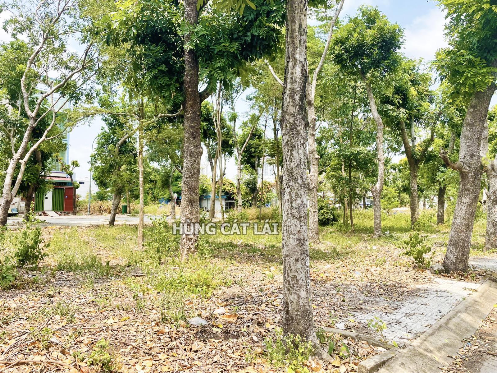 Hùng Cát Lái - Bán lô sổ đỏ MT đường đôi công viên rộng 48m, DT 6x20m, Tây Nam, giá 71.5 tr/m2 Hùng Cát Lái - Bán lô sổ đỏ MT đường đôi công viên rộng 48m, DT 6x20m, Tây Nam, giá 71.5 tr/m2