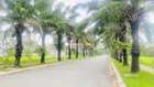 Chuyền nhà về Đà Lạt, bán DT 8x16=128m2, trục chính 2 mặt tiền, giá giảm 43tr bao hết 0909 719 ***