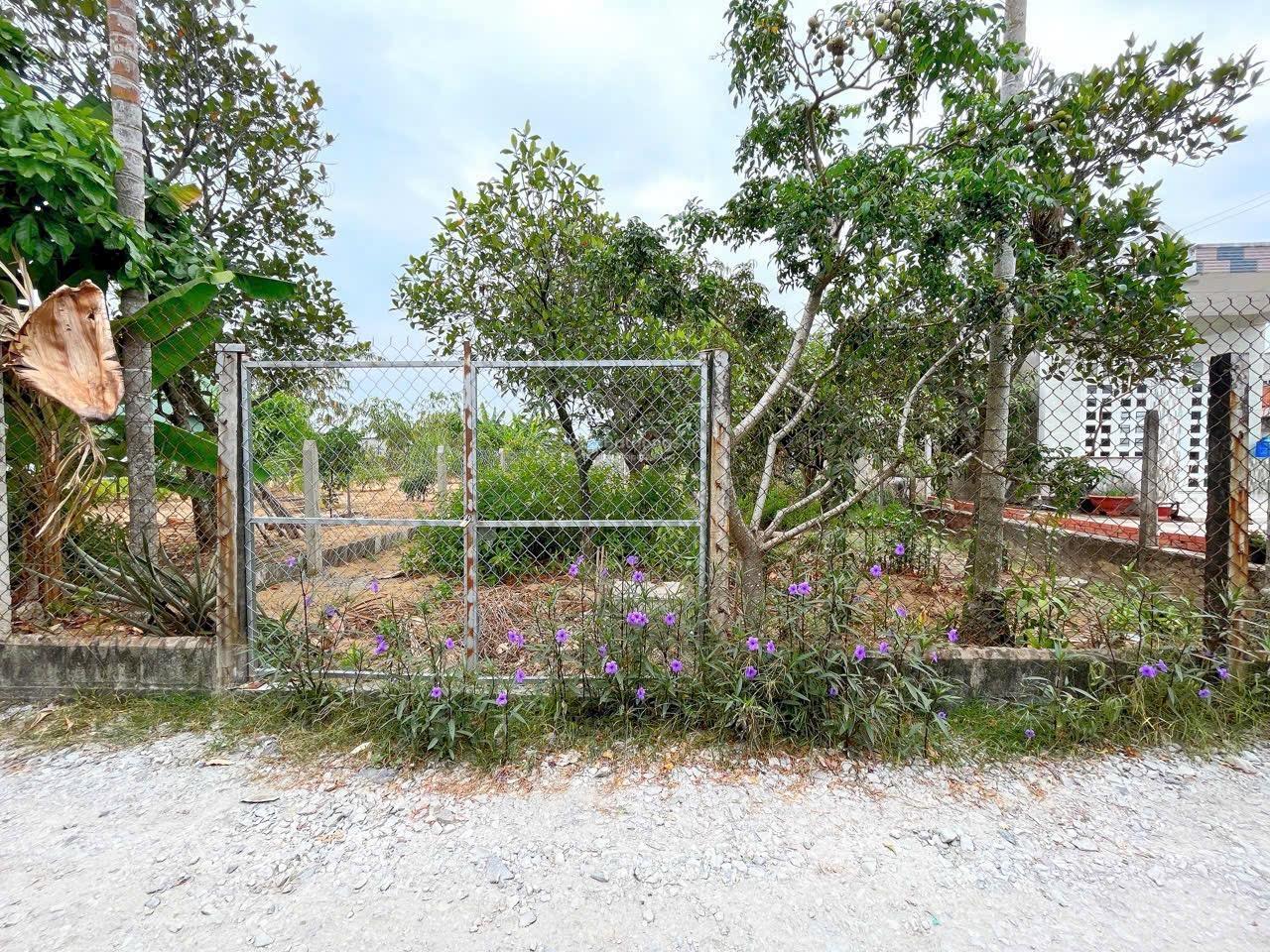 Đất Đức Hòa Hạ, 10x40m, giá 2,35 tỷ Đất Đức Hòa Hạ, 10x40m, giá 2,35 tỷ