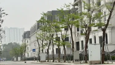 Chính chủ gửi bán căn 116m2 giá 38 tỷ. LH: 0989 862 ***