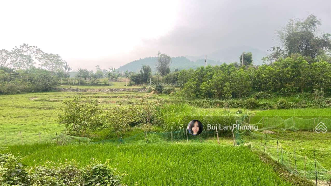 Nghỉ dưỡng sườn đồi thung lũng Xanh thơ mộng tổng 1ha gồm thổ cư, CLN, khai hoang, L/H: 0974 715 ***