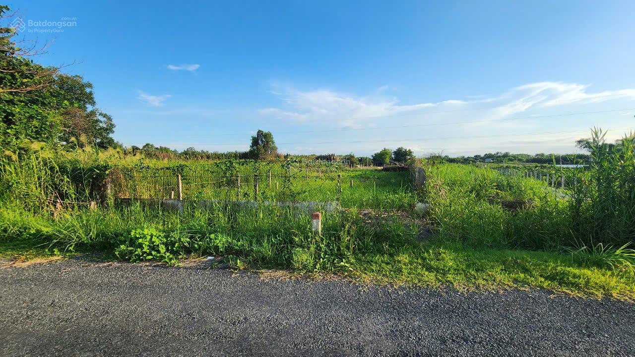 Bán đất mặt tiền đường Rừng Sác Bình Khánh, Cần Giờ 679.5m2, 300m thổ cư giá chỉ 23 tr/m2