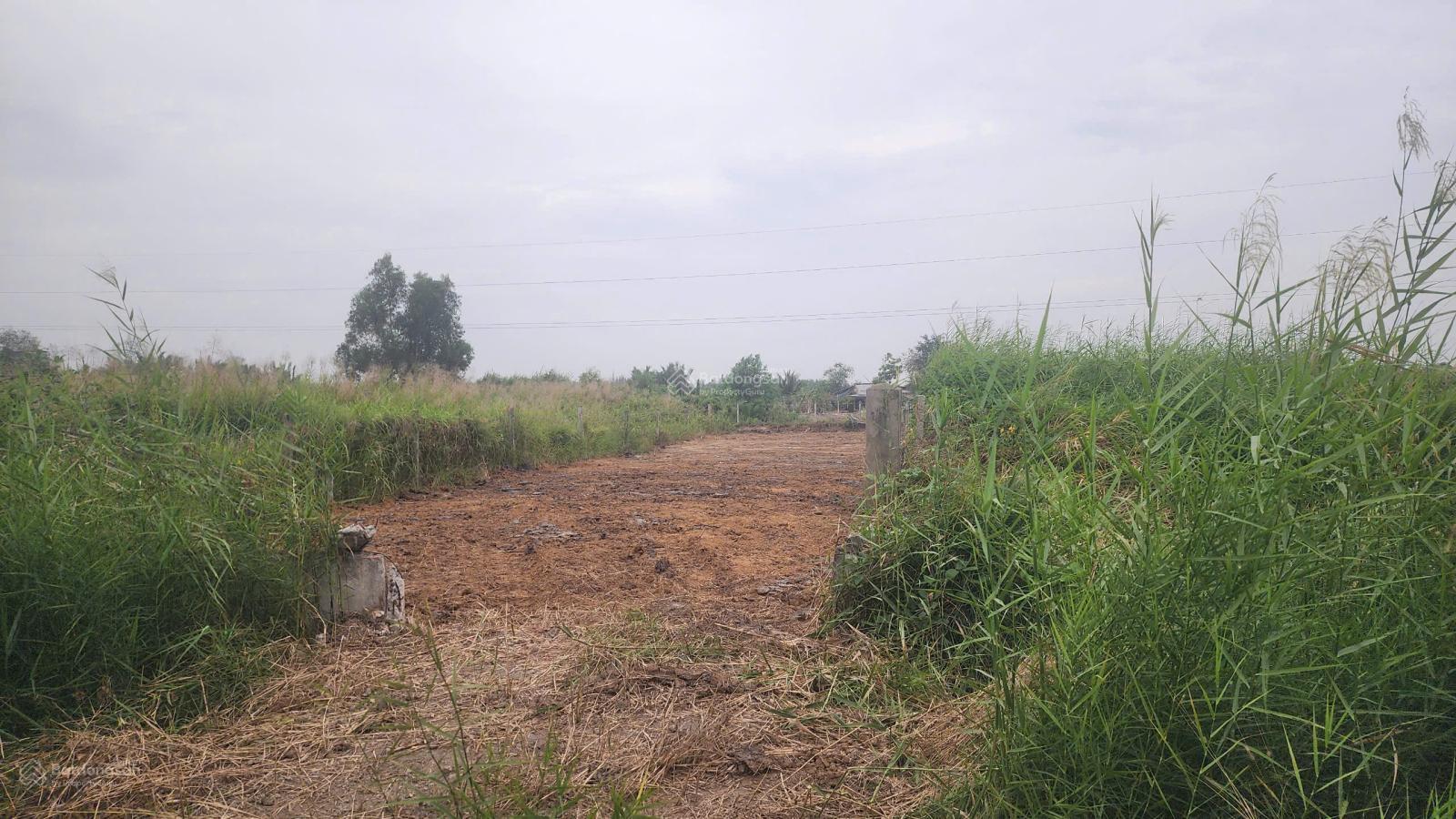 Bán đất mặt tiền đường Rừng Sác Bình Khánh, Cần Giờ 679.5m2, 300m thổ cư giá chỉ 23 tr/m2