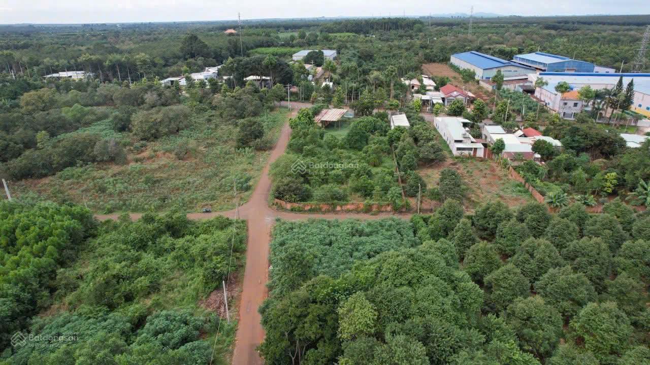 2200m2(2 sổ) mặt tiền đường nhựa 17m, mặt tiền đường đất 60m, Bình Ba, Châu Đức