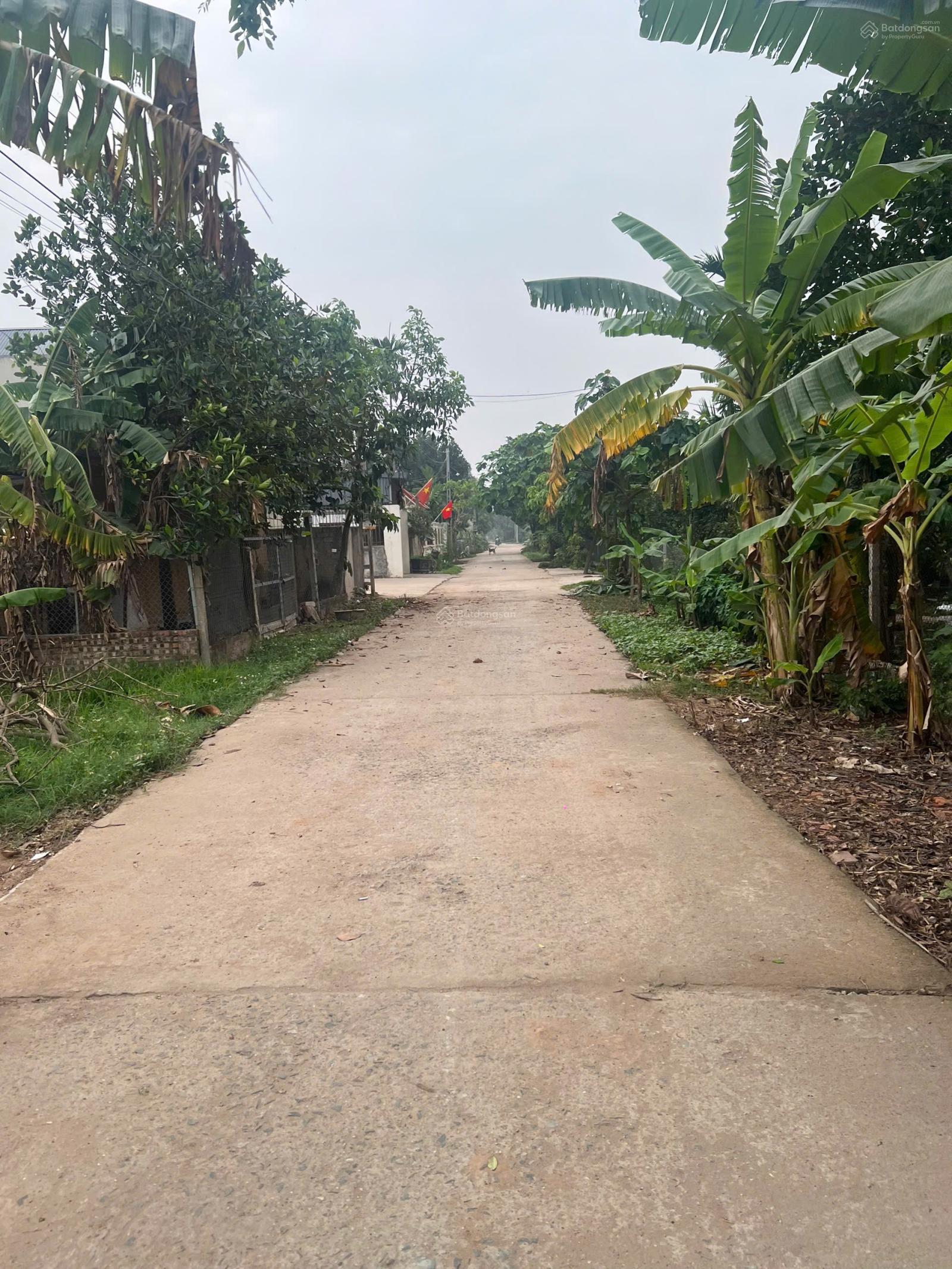 Hàng hiếm - Bán đất tại Sen Phương, Phúc Thọ, Hà Nội, DT 40m2, giá chỉ 1 tỷ 250