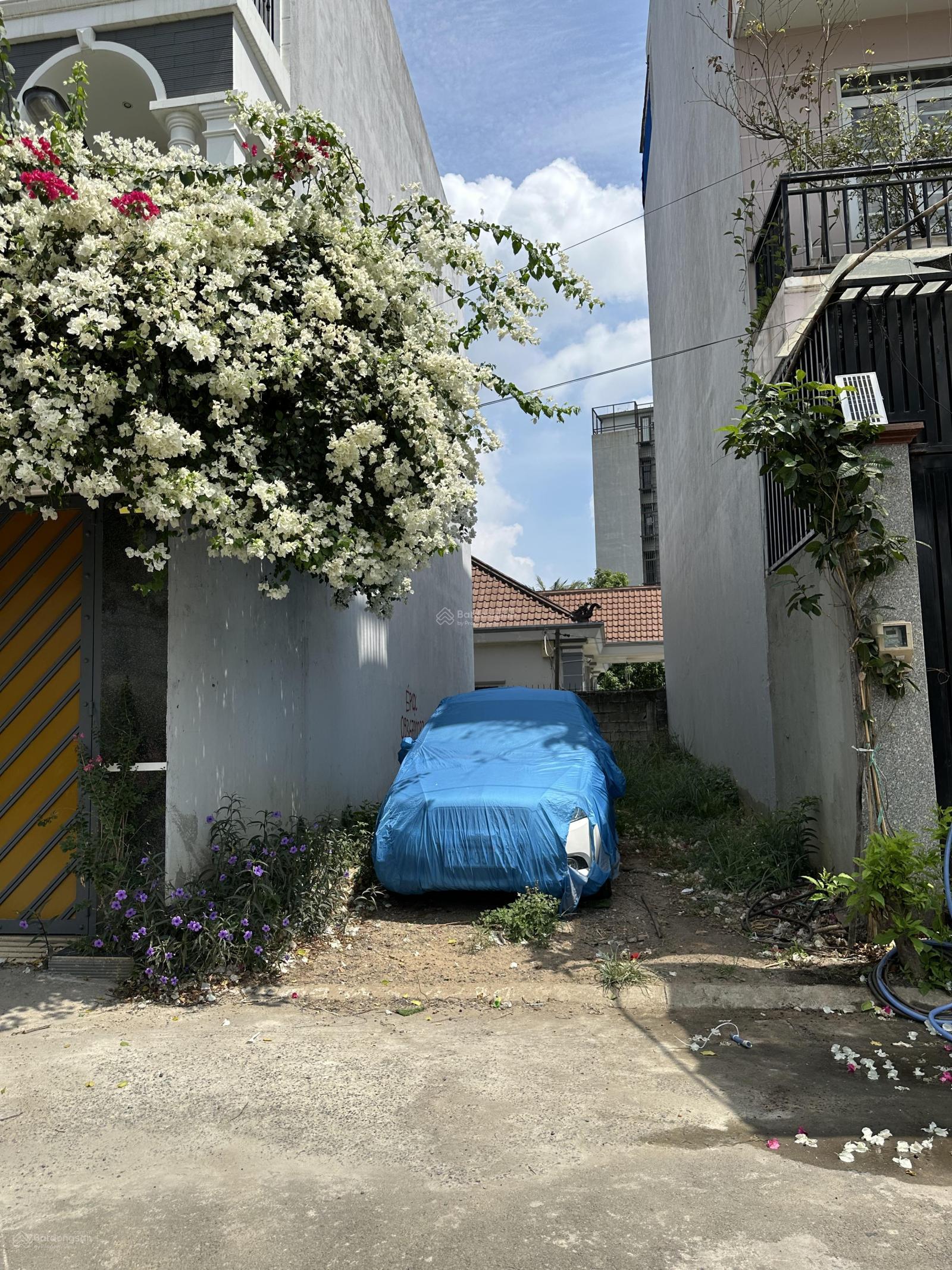 Em chuyên nhà đất TT phường Phú Hữu, Quận 9, cập nhật giỏ hàng T1/2026 giá từ 3 tỷ 150 đến 3 tỷ 850