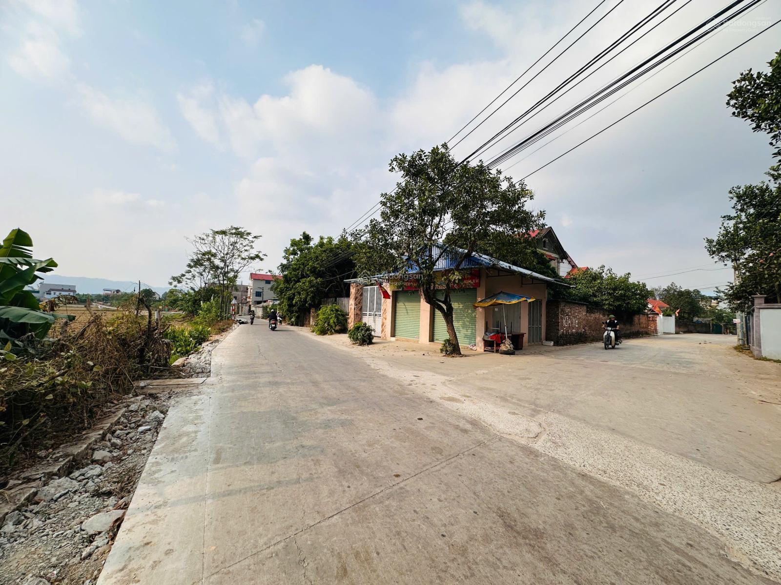 Bán đất Xuân Dục - Tân Minh sát dự án trường đua ngựa 96m2 đường 5m ngay trục chính. LH 0976 677 ***