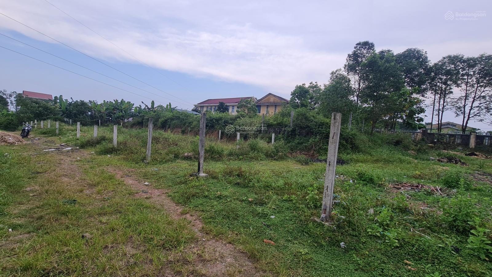 Đất kiệt Võ Duy Ninh, cạnh bên trường tiểu học Thủy Dương