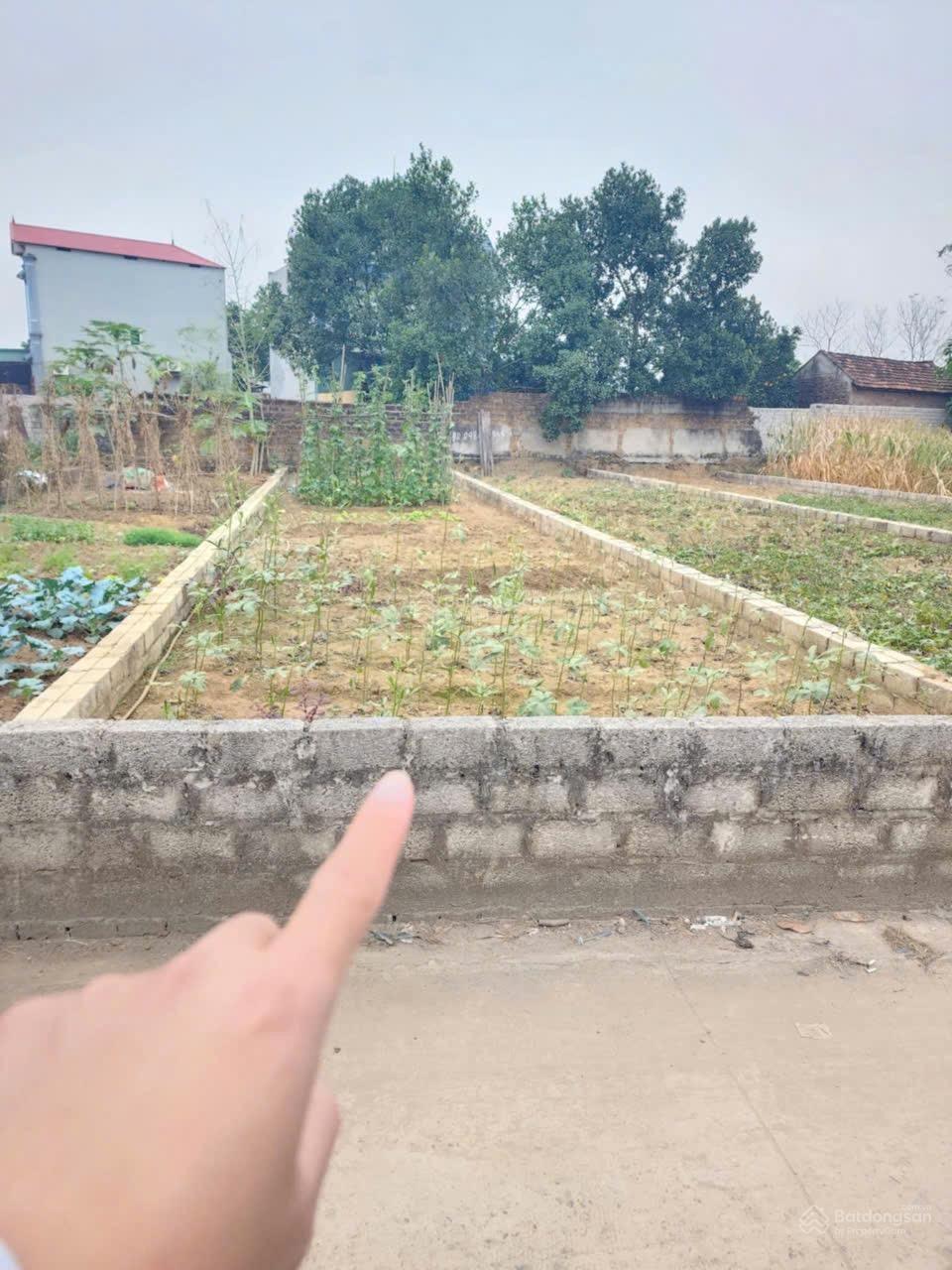 Bán gấp nhanh mảnh đất full thổ cư đường thông giá rẻ tại huyện Thạch Thất
