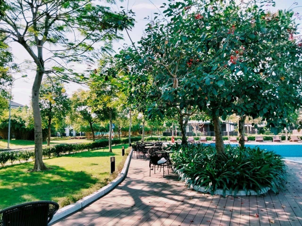 Chị gái em bán căn biệt thự VÍP nhất dự án 300m2 46.5tỷ và đơn lập 386m2 giá 130tr/m2(Siêu rẻ rộng) Chị gái em bán căn biệt thự VÍP nhất dự án 300m2 46.5tỷ và đơn lập 386m2 giá 130tr/m2(Siêu rẻ rộng)