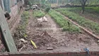 Bán đất 52m2, 1,05 tỷ tại Xã Võng Xuyên, Phúc Thọ, Hà Nội