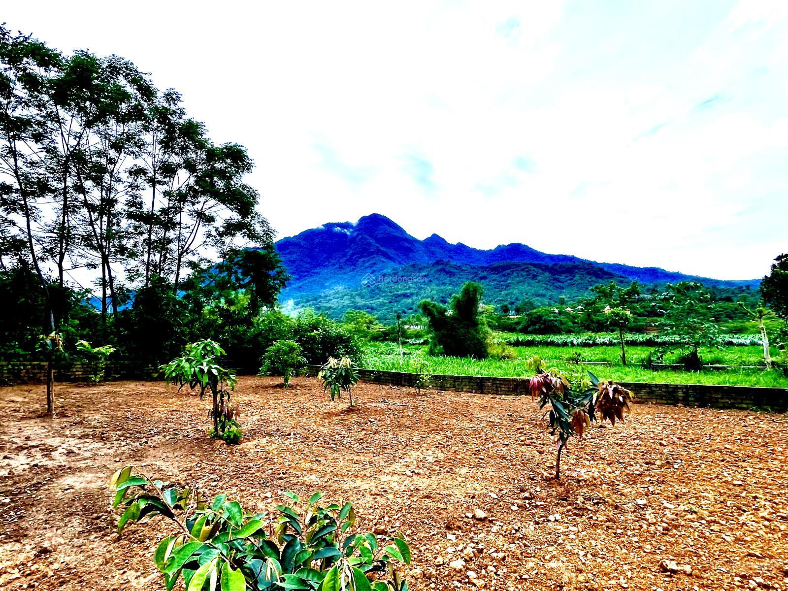 Chính chủ cần chuyển nhượng 1534.9m2 trong đó có 200m2 thổ cư tại Vân Hoà