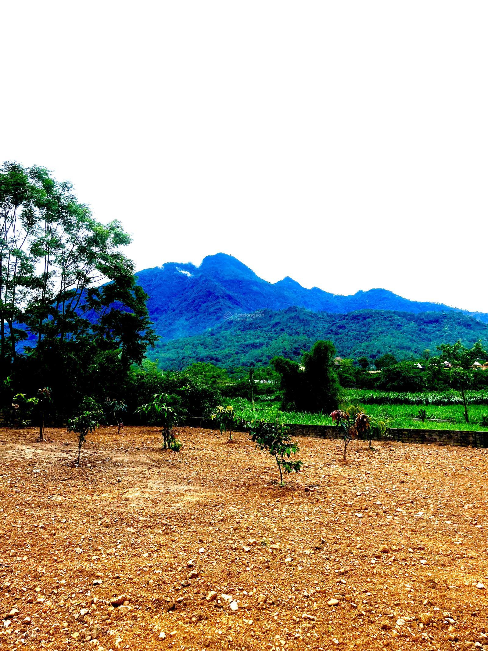 Chính chủ cần chuyển nhượng 1534.9m2 trong đó có 200m2 thổ cư tại Vân Hoà