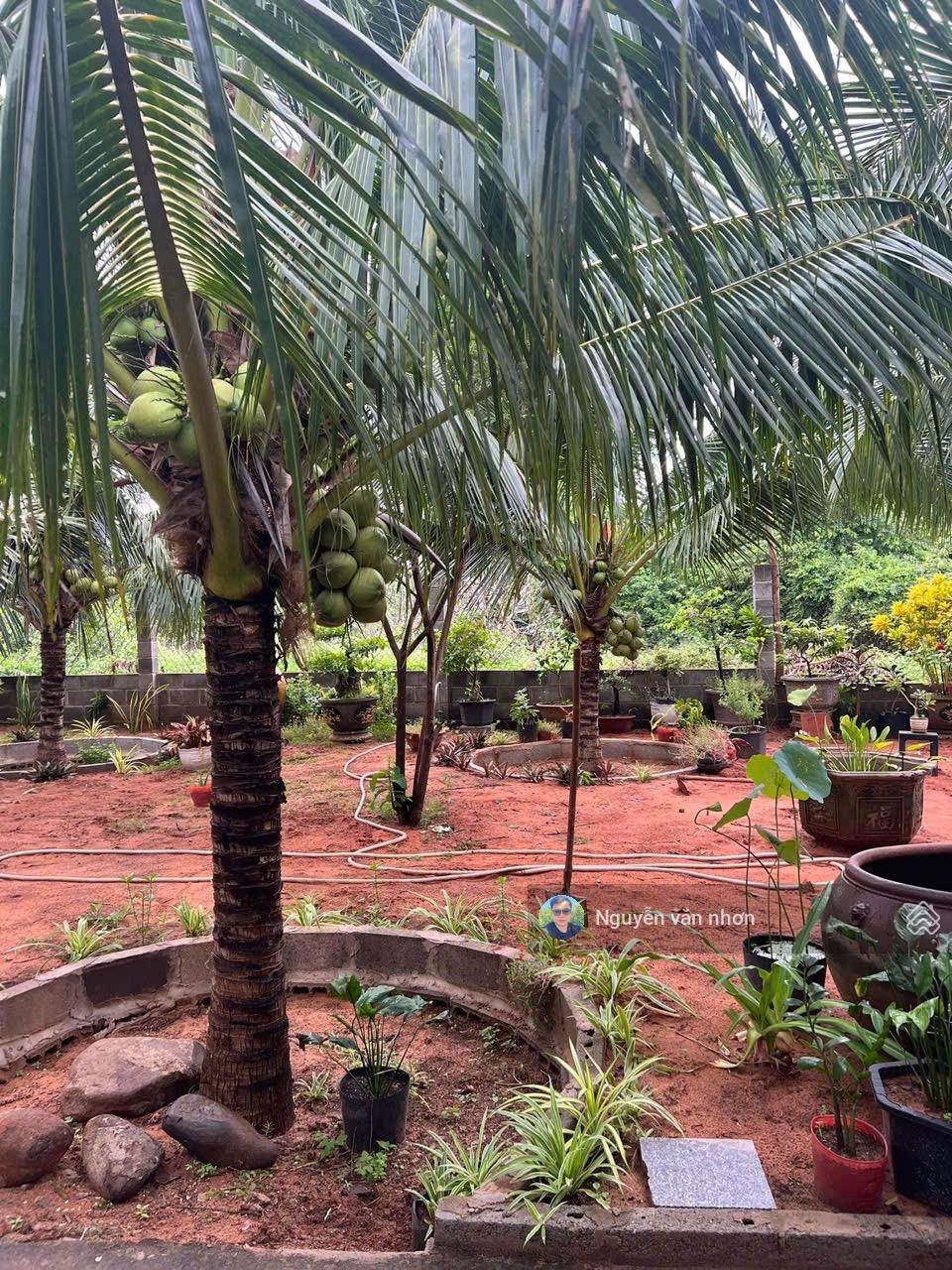 Bán đất tại Thiện Nghiệp, 2 tỷ, 1000m2, mặt tiền 22.63m, nhiều tiện ích