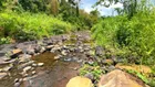 Bán đất view suối đá đẹp 2000m2, ngay trung tâm Quảng Tín, giá chỉ 350 triệu