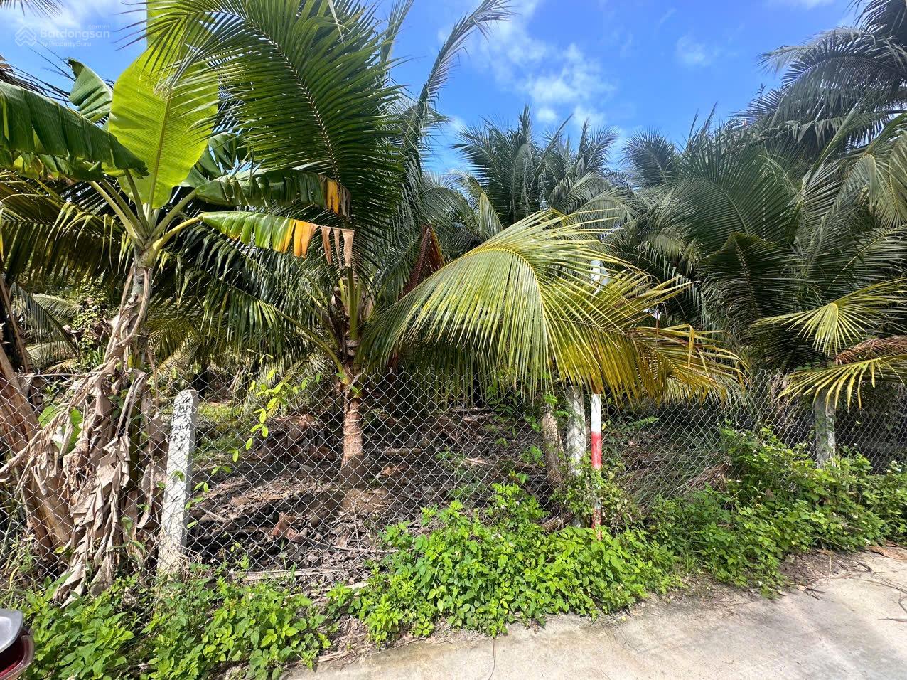 Bán đất bàn cờ Cam Đức Cam Lâm, thuộc khu dân cư hiện hữu an toàn được giữ lại, giá chỉ 1.45 tỷ Bán đất bàn cờ Cam Đức Cam Lâm, thuộc khu dân cư hiện hữu an toàn được giữ lại, giá chỉ 1.45 tỷ