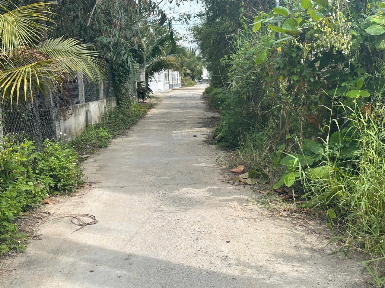 Bán đất bàn cờ Cam Đức Cam Lâm, thuộc khu dân cư hiện hữu an toàn được giữ lại, giá chỉ 1.45 tỷ Bán đất bàn cờ Cam Đức Cam Lâm, thuộc khu dân cư hiện hữu an toàn được giữ lại, giá chỉ 1.45 tỷ