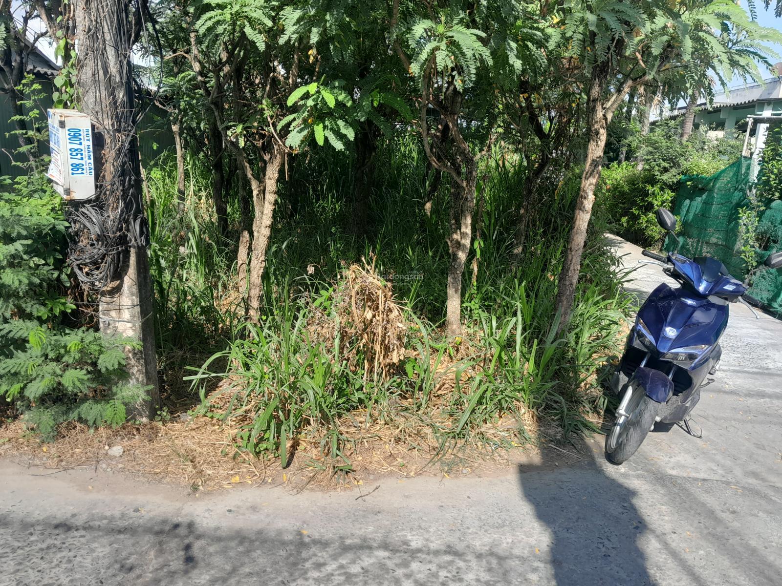 Bán gấp đất tại đường ĐT3, Bình Nghị, Gò Công Đông, Tiền Giang, 160m2(9x18m) lô góc, 330tr