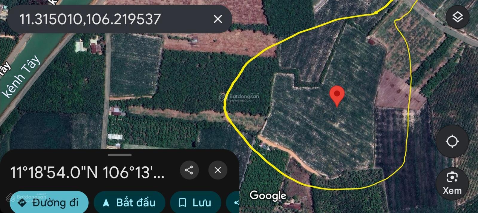 Đất cao su 4.3 ha (2,9 tỷ/ha TL) núi Bà; tòa Thánh 13km, kế KCN Chà Là (Bắc đ. nhựa, Nam đ. sỏi 6m)