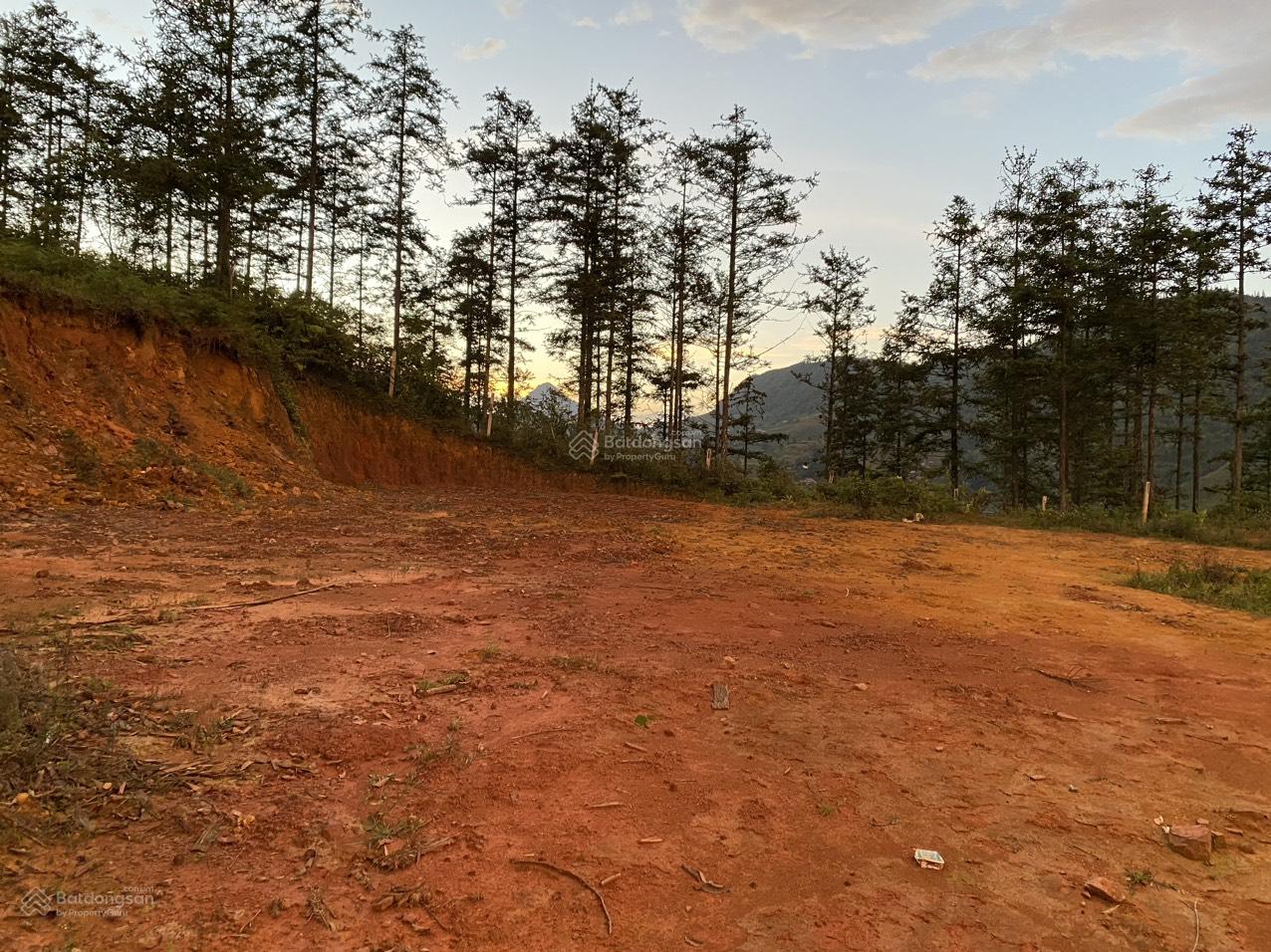 Cần bán mảnh đất 9700m2 gần ngay BVĐK Sapa, phường Hàm Rồng TP Sapa Lào Cai