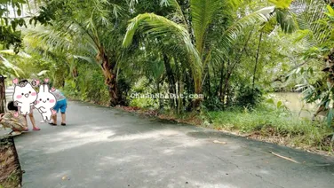 Bán đất Cái Tắc lộ ô tô cách Cầu Đất Sét, QL1A chỉ 1,3km cách chợ Cái Tắc 2,5km