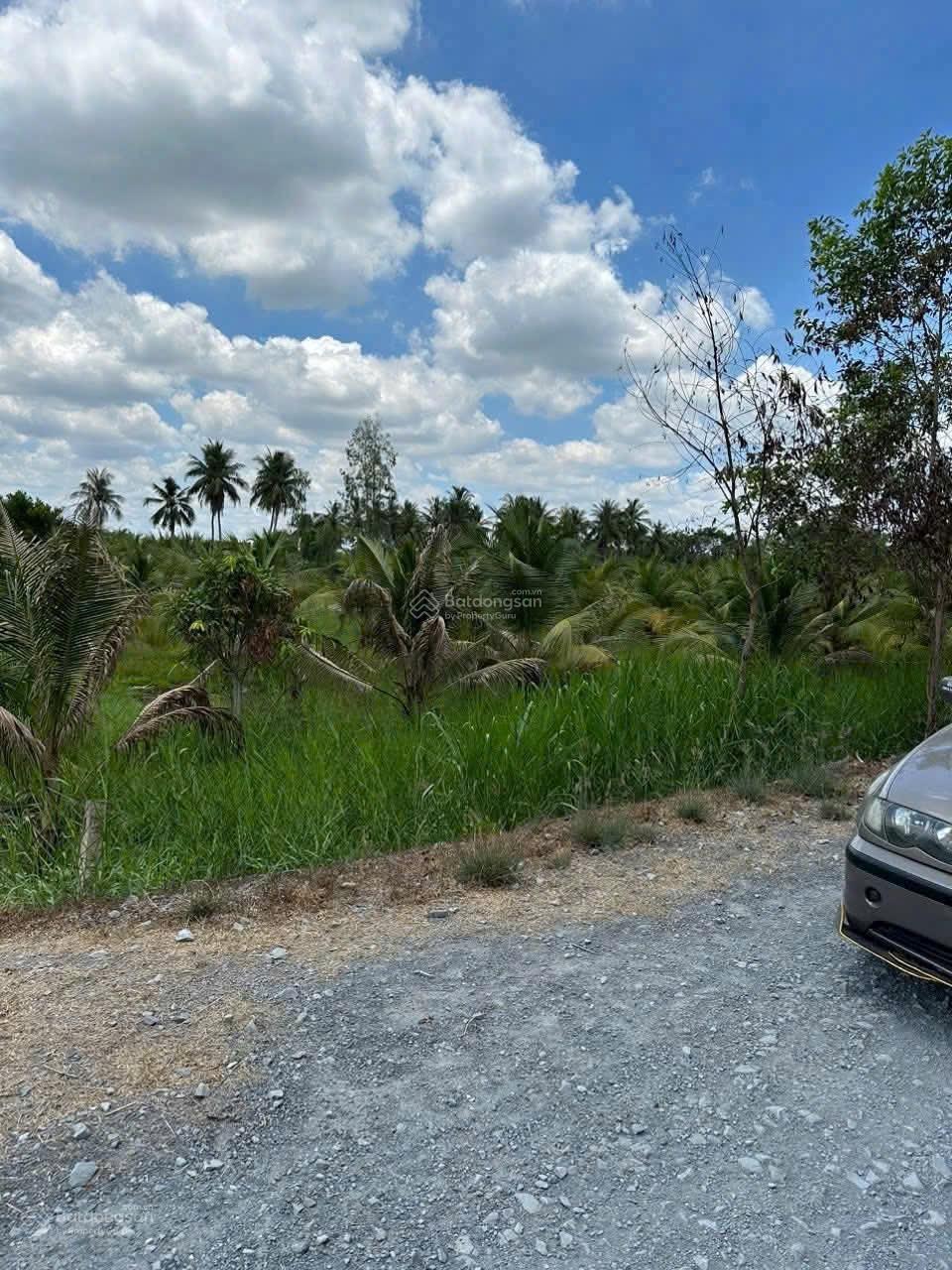 Bán 2000m2 cây lâu năm (CLN) đường đá xanh chuẩn bị lên nhựa 8m mặt tiền 50 m view sông Vàm Cỏ