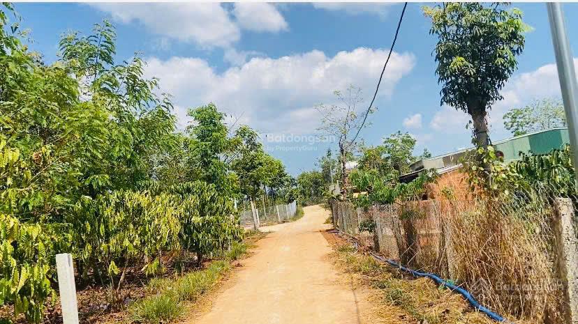 Chỉ 350tr sở hữu lô đất 18m mặt đường betong. Đất lên 300 m2 thổ cư, có sẵn sầu riêng, cà phê, tiêu Chỉ 350tr sở hữu lô đất 18m mặt đường betong. Đất lên 300 m2 thổ cư, có sẵn sầu riêng, cà phê, tiêu