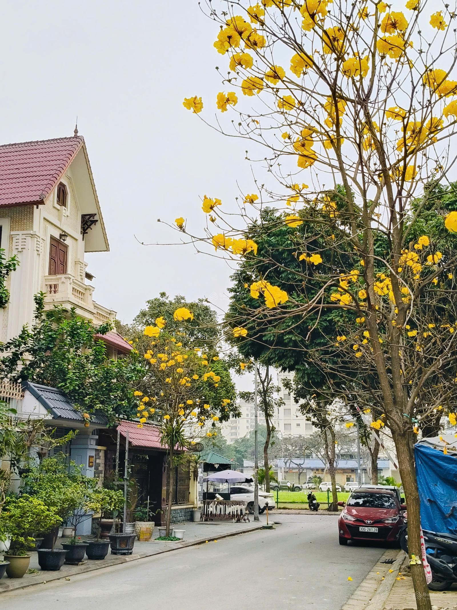 Bán biệt thự Việt Hưng, duy nhất 1 căn giá rẻ nhất khu vực, giá chỉ 194tr/m2, kinh doanh.