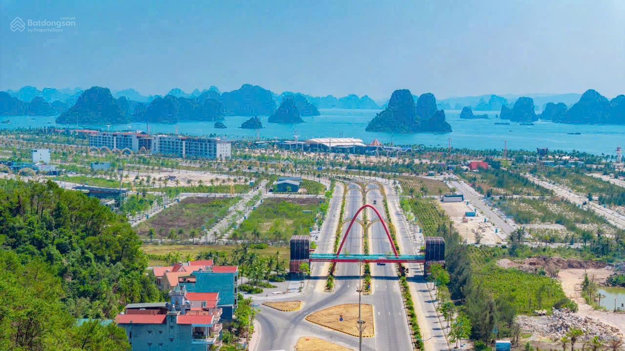 Shophouse mặt đường 58m Phương Đông Vân Đồn 87,5m2. 140,75m2. 262,5m2 giá mua trực tiếp CĐT ib LH