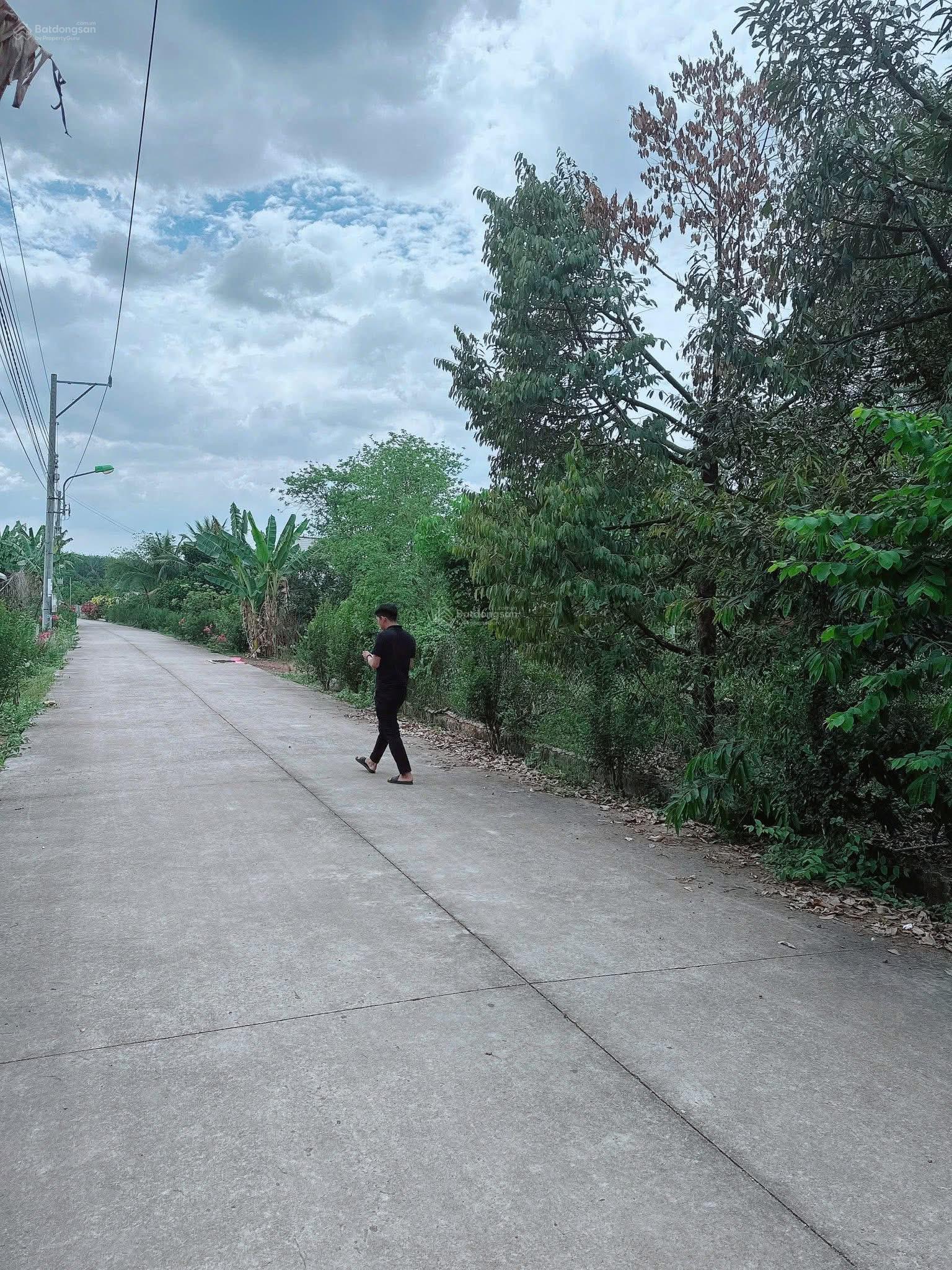 Đất đang trồng sầu riêng 8 năm. Ngang 15x48m, TC 100m2