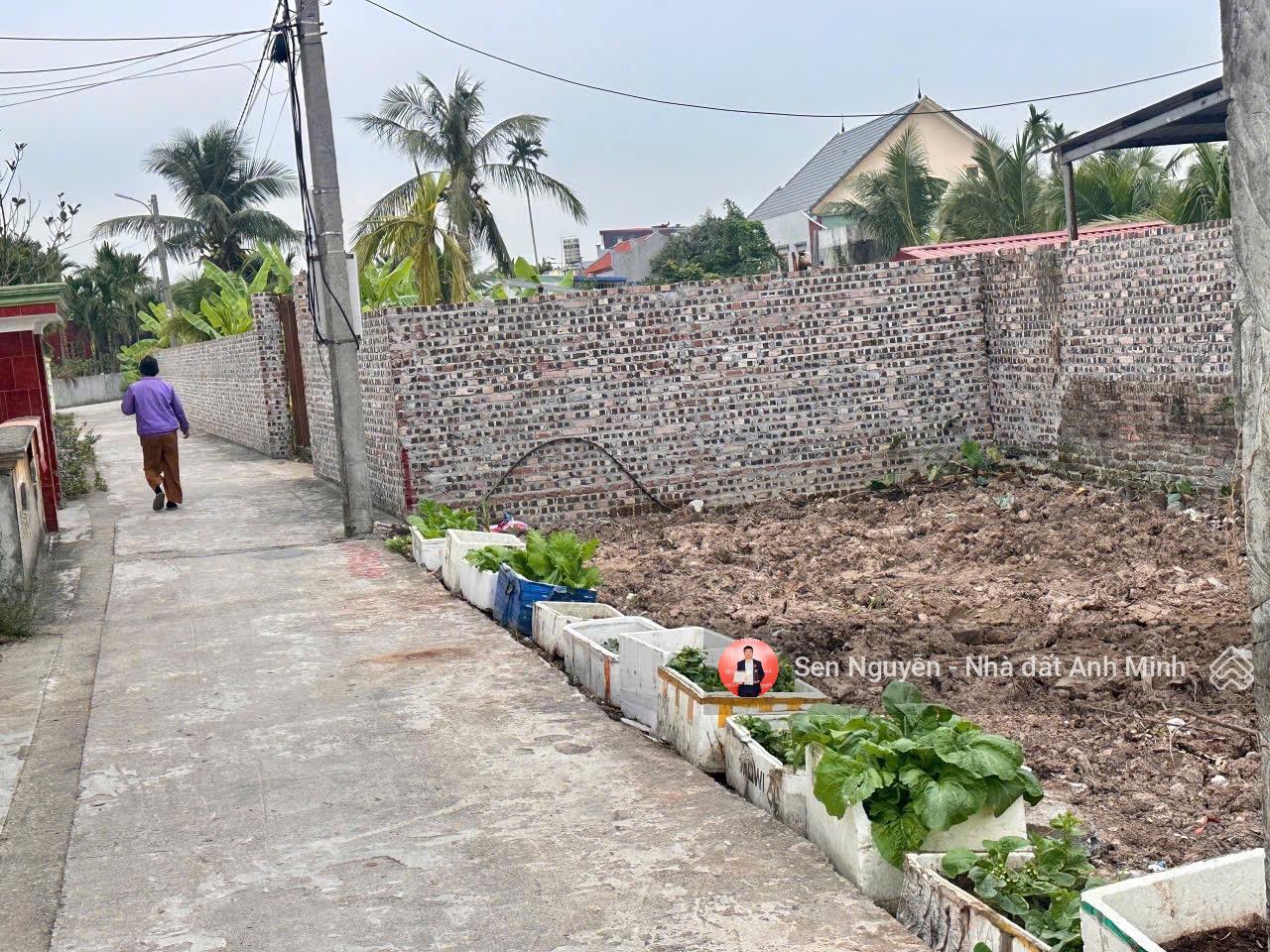 Lô đất ô tô đỗ cửa tại Dân Tiến, Minh Đức, Đồ Sơn