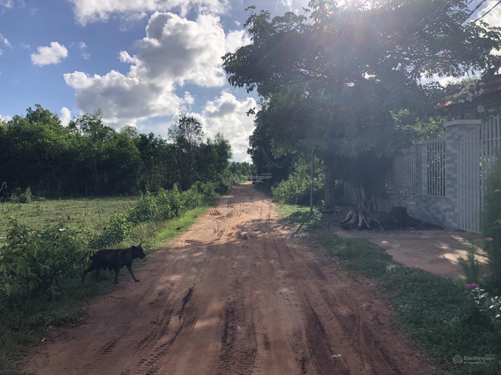 Bán mảnh đất làm nông nghiệp gần 1ha khu hồ nước Cửa Cạn - Phú Quốc