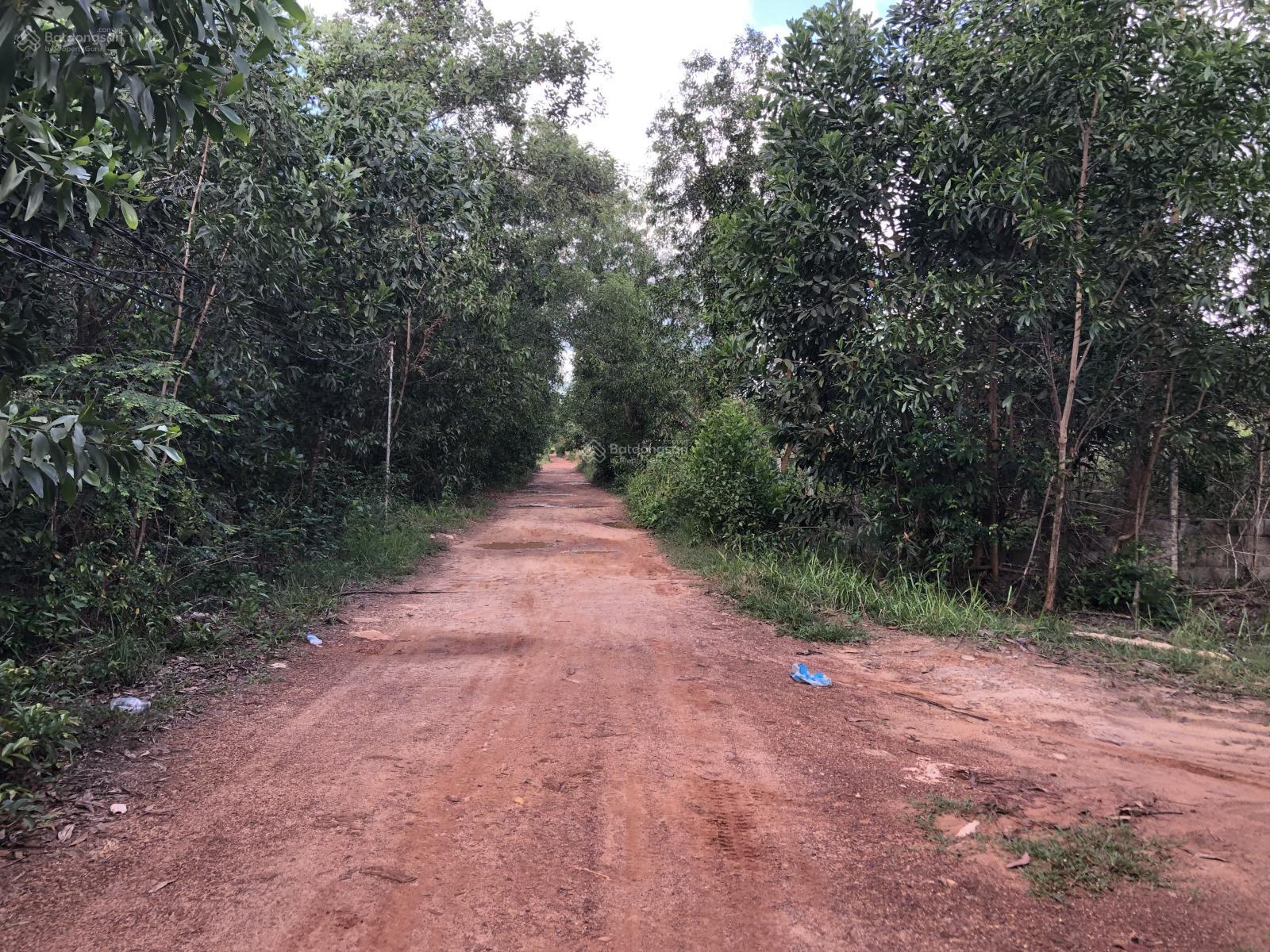 Bán mảnh đất làm nông nghiệp gần 1ha khu hồ nước Cửa Cạn - Phú Quốc