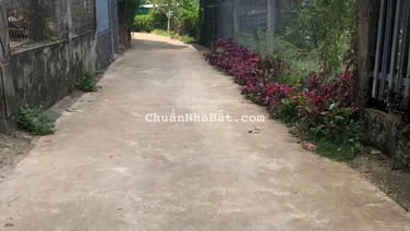 Bán đất tại Thanh Sơn, Tân Phú, Đồng Nai, 900 triệu, 114.8 m2