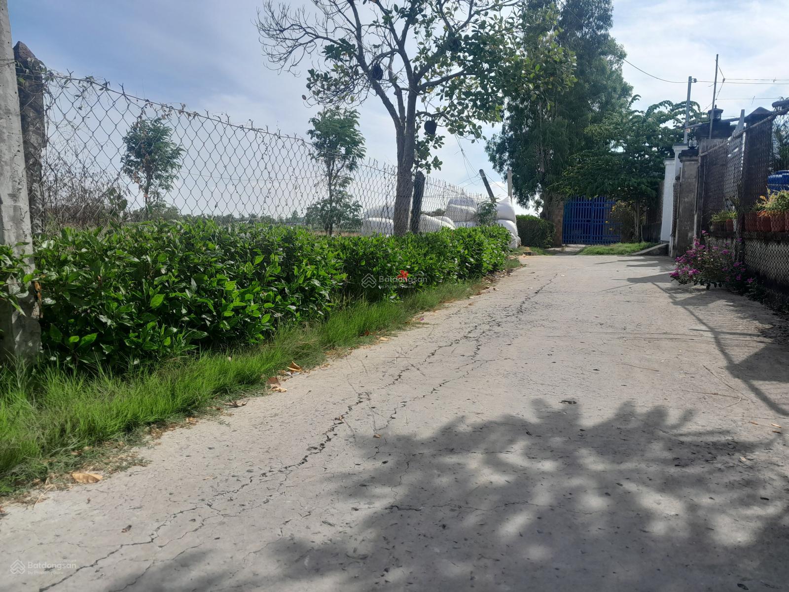Bán đất Gò Công Đông - Tiền Giang, 485m2(16.5m x 27,5m) nở hậu 18.8m, có sổ sẵn, 550 triệu Bán đất Gò Công Đông - Tiền Giang, 485m2(16.5m x 27,5m) nở hậu 18.8m, có sổ sẵn, 550 triệu