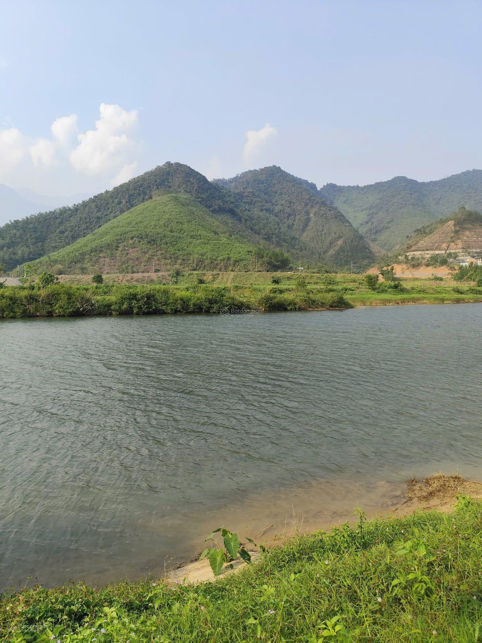 Bán đất vườn view sông diện tích 3000m2. Đất trồng cây không có đất ở