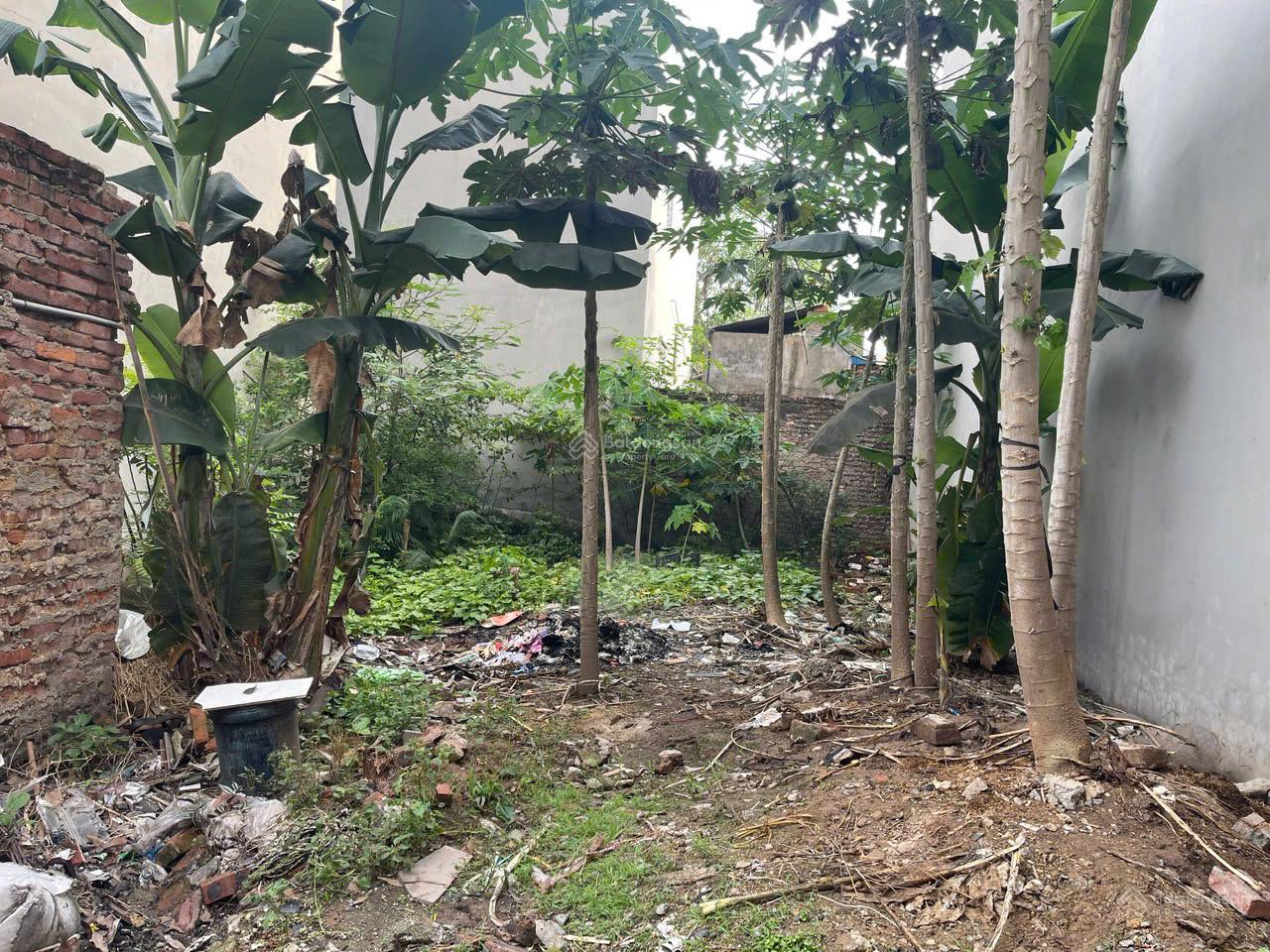 Bán đất thổ cư 65m2 Lệ Chi, Gia Lâm, gần trường đại học, ở và kinh doanh phòng trọ tốt