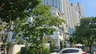Cho thuê căn góc biệt thự An Khang Nam Cường, Dương Nội. DT 202m2, có thang máy vị trí đẹp. Giá tốt